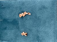 Orecchini Domar Bambino in Argento Zircone ORAR-184-280